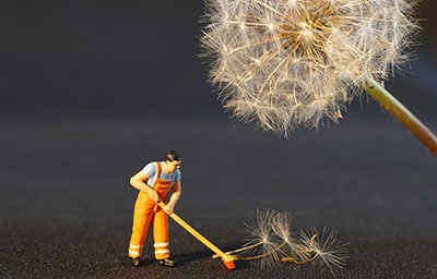 Professional Janitorial Service Cleaning Tips For Allergy Sufferers How to Improve Indoor Air Quality in Schools